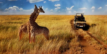 South Africa