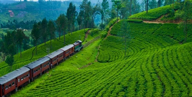 Sri Lanka