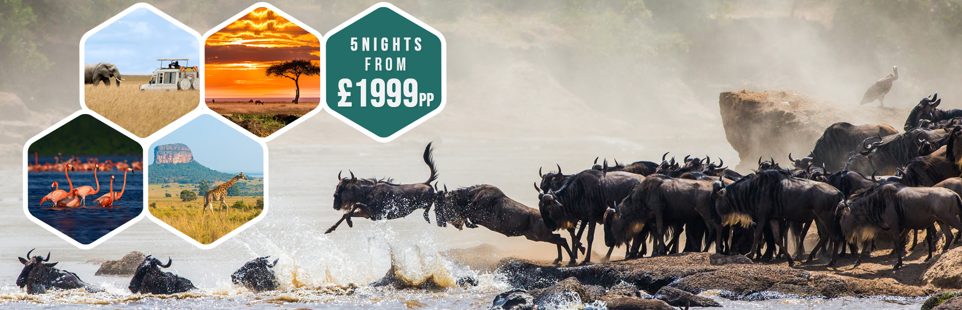 kenya-safari'
