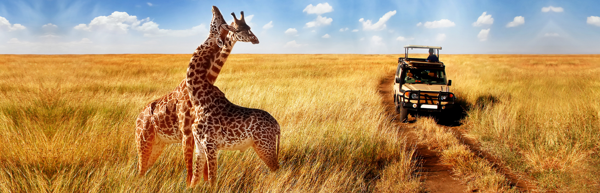 Africa