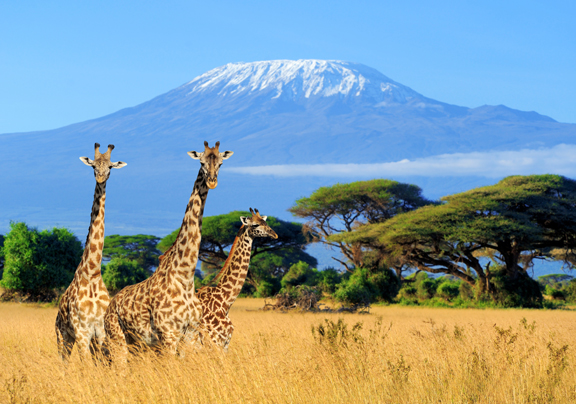 Kenya Travel