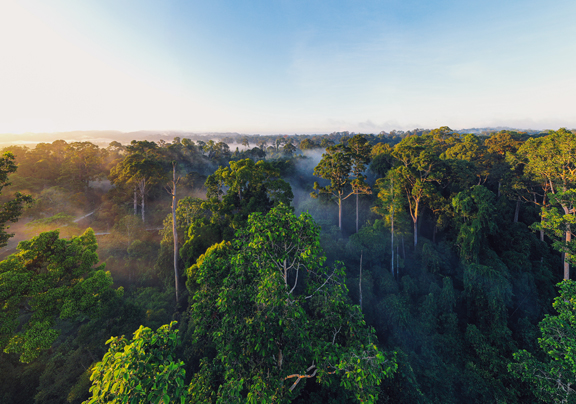 Borneo