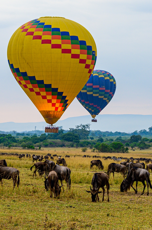 Maasai Mara National Reserve