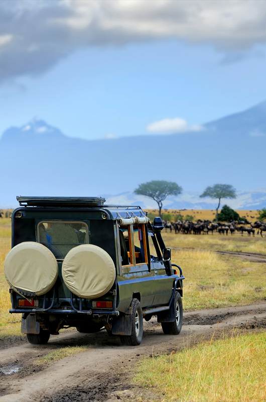 Tsavo East National Park