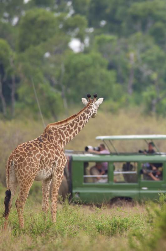 Arusha National Park
