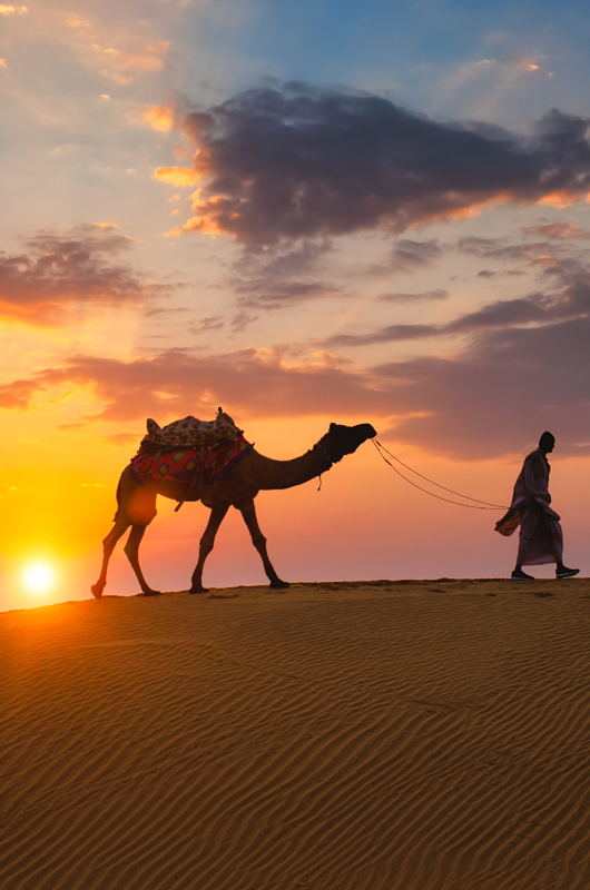 Attractions Rajasthan