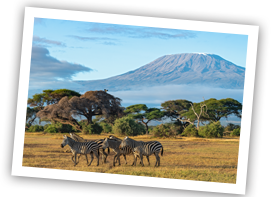 Amboseli national park