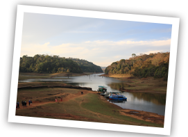 cochin-wildlife-sanctuary