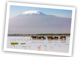 maasai mara national reserve