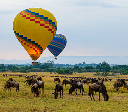 Kenya Safari Magic