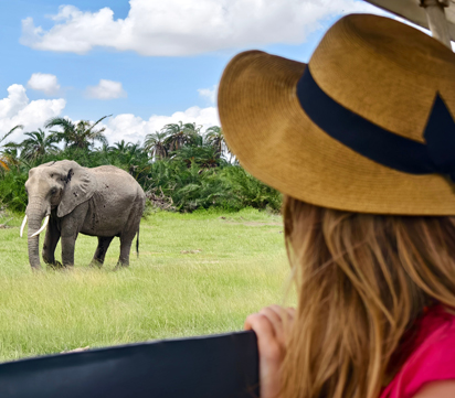 Luxury Tanzania Safari