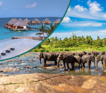 Sri Lanka Magical