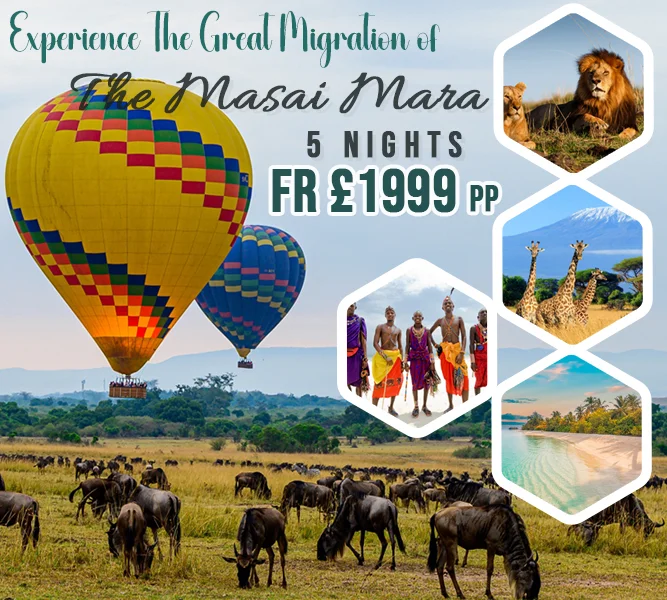 Kenya Safari Magic